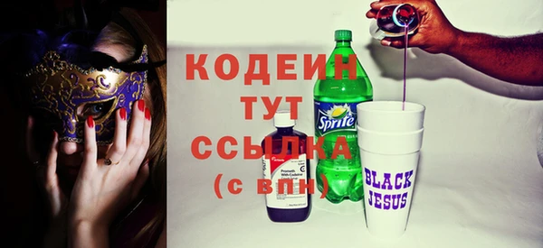 индика Пестово