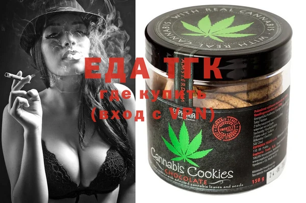 индика Пестово