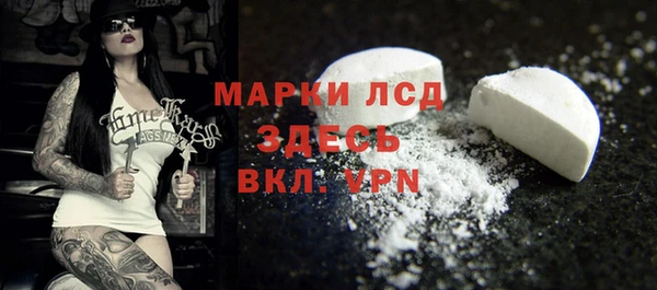 индика Пестово