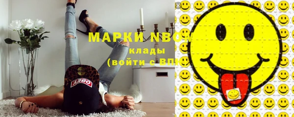 индика Пестово