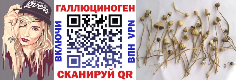 Галлюциногенные грибы Cubensis  Купить закладки  Набережные Челны 